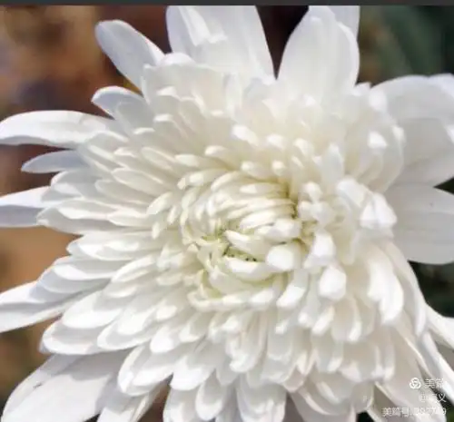 母爱如海,此生难忘怀——祭奠妈妈去世一周年