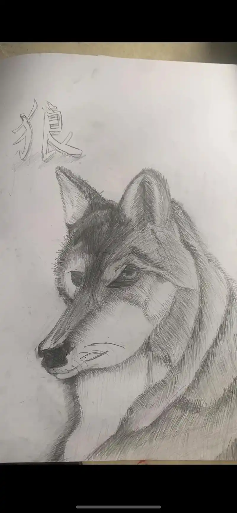 未命名 这样可不可以02020202 #狼#素描动物 #画 - 抖音
