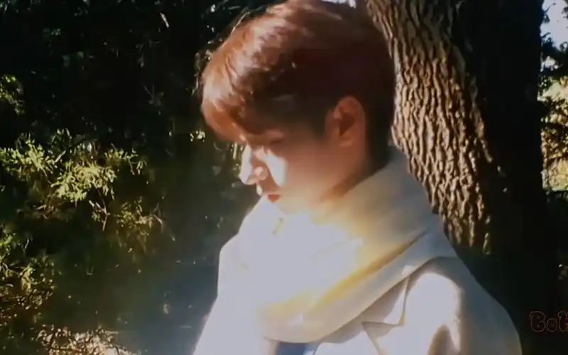 【朱志鑫】"你站在光里照进了我的生活"