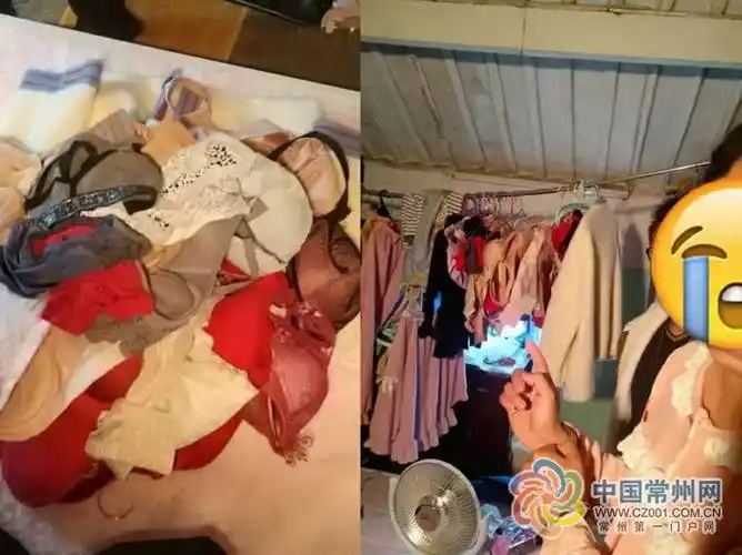 溧阳警方抓获"内衣大盗" 被抓时还穿着女式睡衣