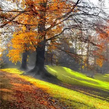 寓意好的微信风景头像图片 诗意风景图片意境