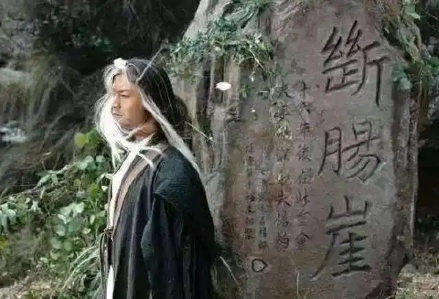 神雕侠侣中,为什么杨过会断臂?跟他的名字有关,小龙女早有暗示