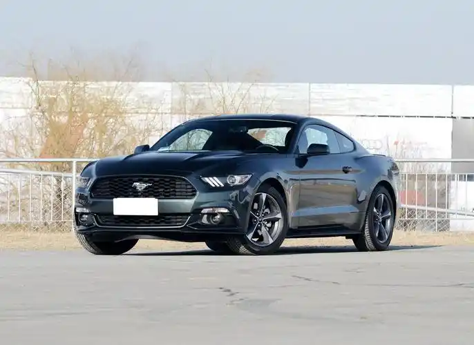 mustang