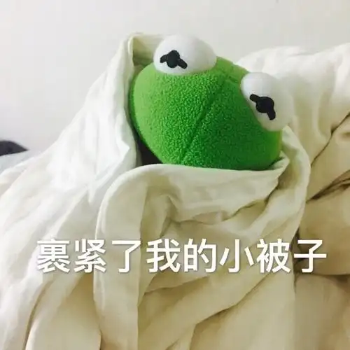 布偶青蛙绿色搞笑可爱斗图裹紧了我的小被子gif动图_动态图_表情包