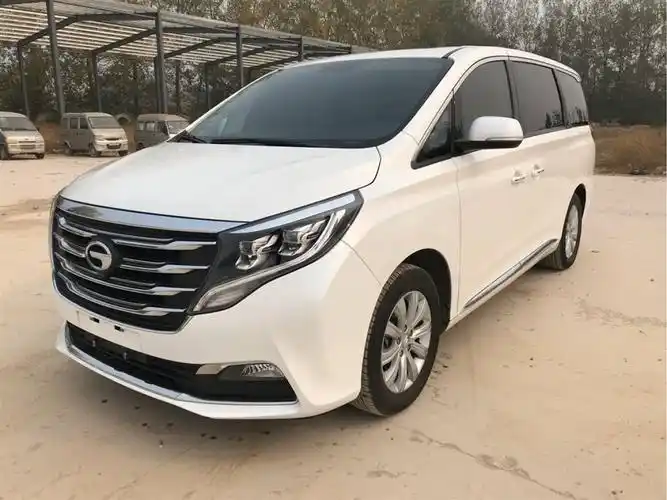 【郑州】2019年03月 力帆320 2018款 320t 尊享版 自动档