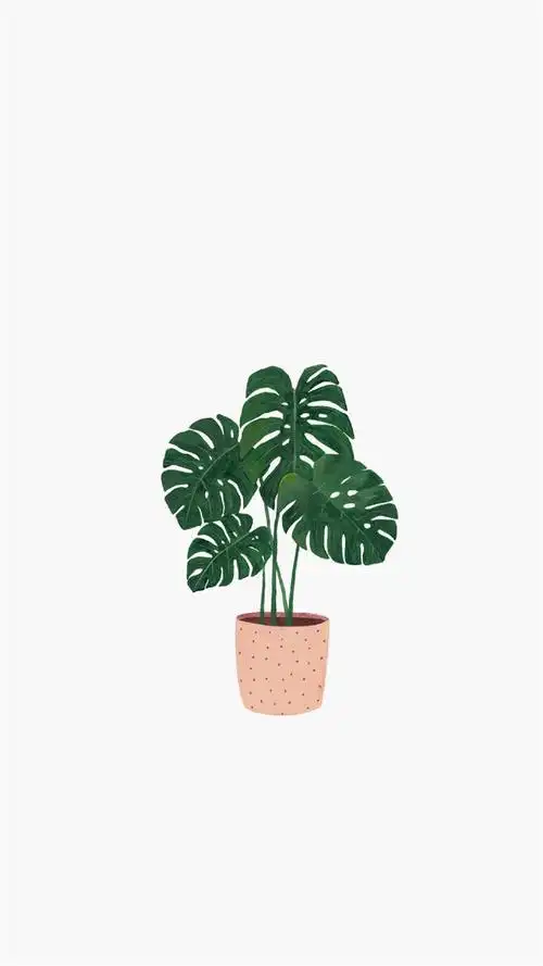 小清新手绘植物插画高清手机壁纸