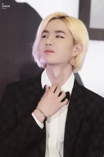 洛阳白牡丹王一博 cr@fluoxetine·王一博(3/24)