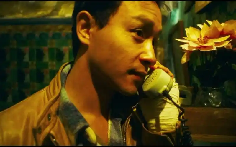 春光乍泄写真集(八)