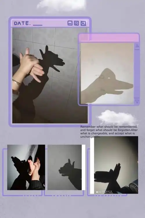 3.根据手势影子形象猜动物