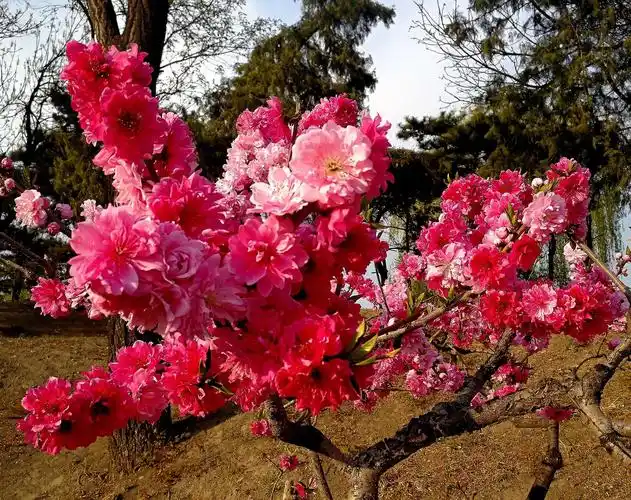 山青水秀的美篇(副本) - 美篇