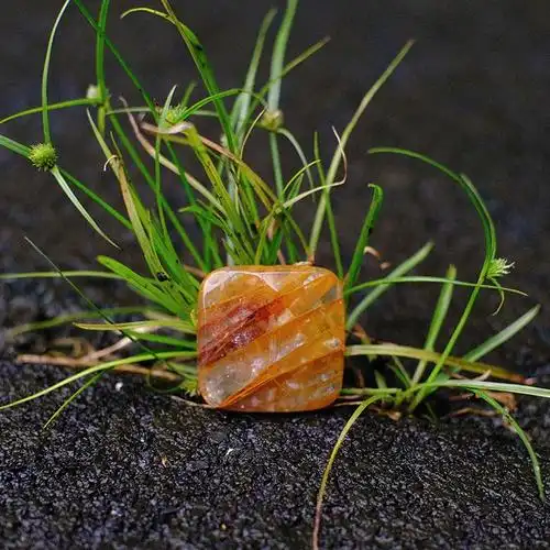 切面方形【天然黄胶花】直径25mm 3个一组