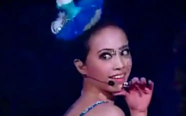 本质淋淋教你跳流群meteorstream