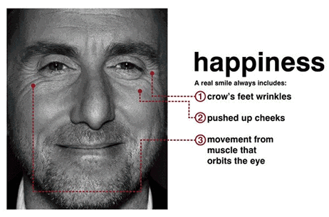 揭秘: 猫咪 微表情如何让你1秒读懂猫心?