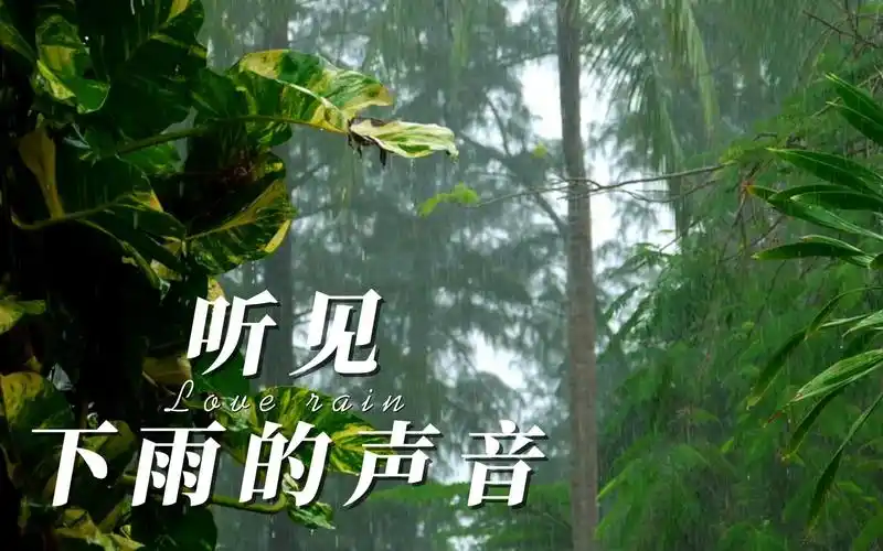 周深: 听见下雨的声音