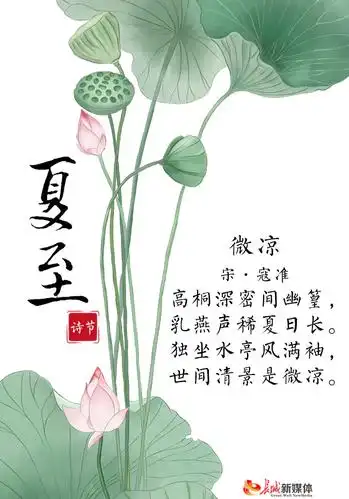 夏至诗节丨忽而今夏 每一帧都是风景