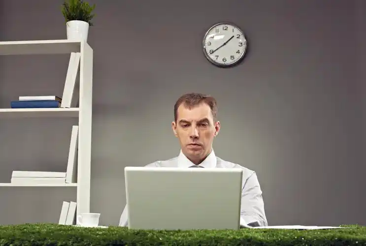 正在使用笔记本工作的商务白领图片 工作,商务白领, _ 正在使用笔记本