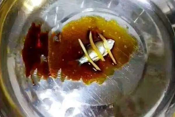 月末刮起了"炫穷风",忍了九菜一汤,忍了酱油饭,最后的扎心了