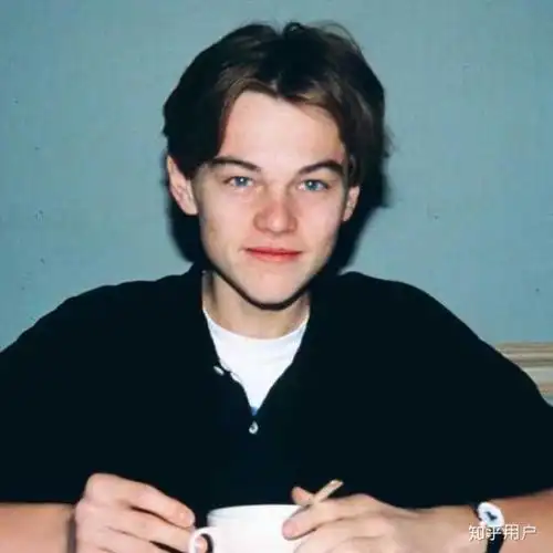 为什么我完全get不到小李子颜值?我审美有问题吗?