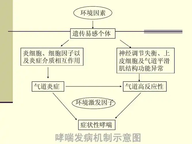 医学课件支气管哮喘ppt