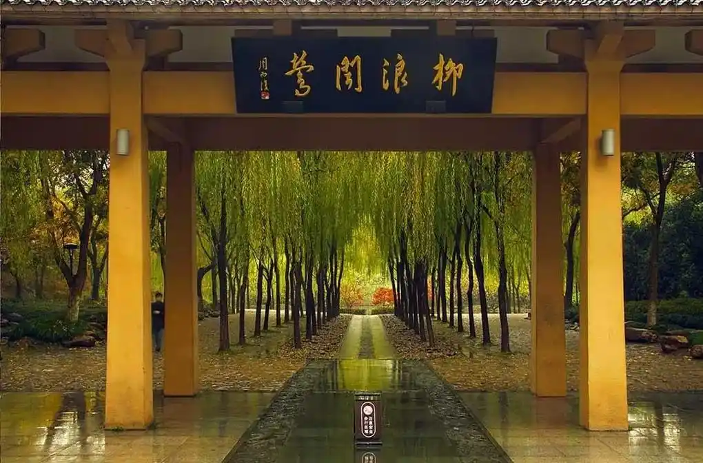 西湖十景之柳浪闻莺,位于西湖东南岸,清波门处的大型公园.分 - 抖音