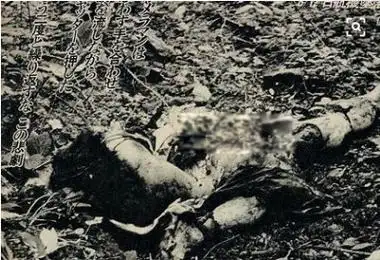 事故中坠毁的客机是一架波音747sr-46,飞机编号ja8119