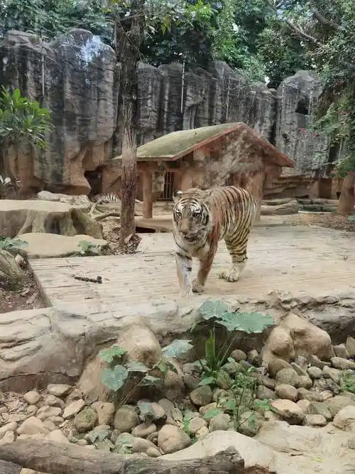 南宁动物园一游 - 美篇