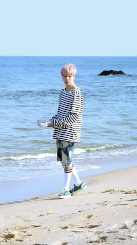 朴智旻《春日》-花样年华