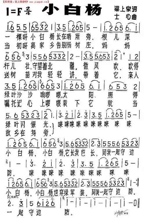 《小白杨》简谱