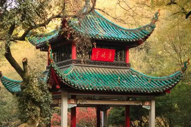 岳麓山大王山旅游专线将开通,打造一站式游玩打卡体验