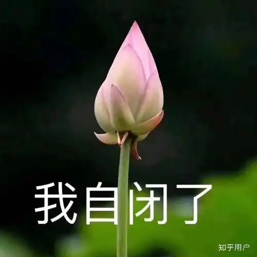 有没有很土或者特别的微信头像和签名看到第一眼就不想加的那种