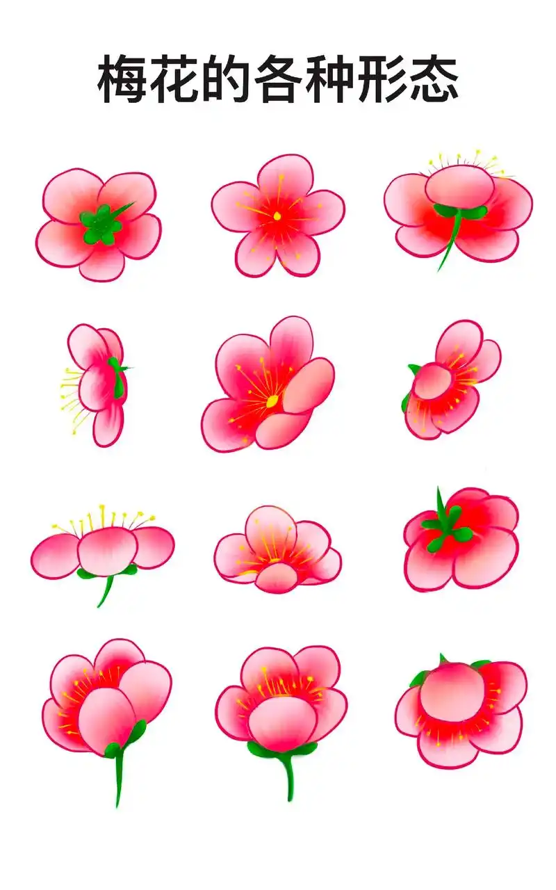 梅花素材日常练习.#图文伙伴计划#日常绘画练习 #梅花 #植 - 抖音