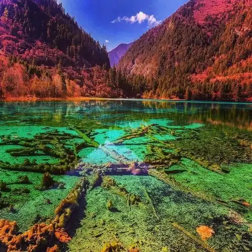 难受!震前的九寨沟是不输加拿大班夫的天堂仙境,愿早日重拾美丽!