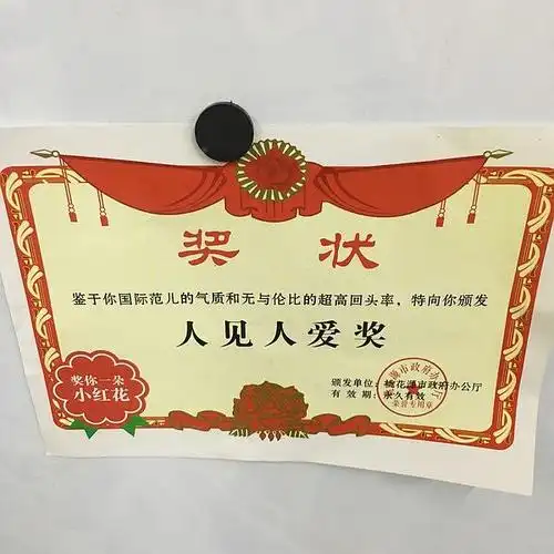 里面还送了张奖状,哈哈哈哈,我的确是人见人爱