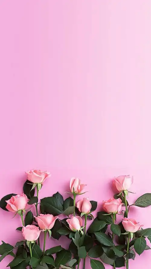 粉色浪漫鲜花h5背景
