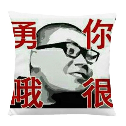 杰哥不要啊让我康康你很勇哦抱枕