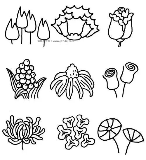 81种花朵的简笔画图片(8)_花朵简笔画-简笔画大全