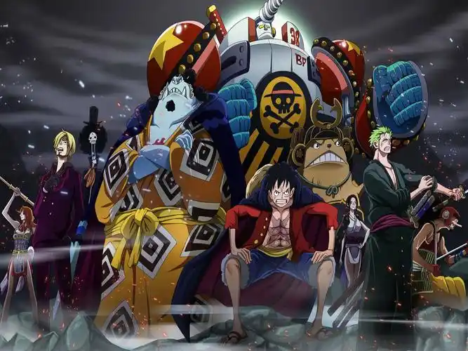 海贼王伙伴最全,副本最新