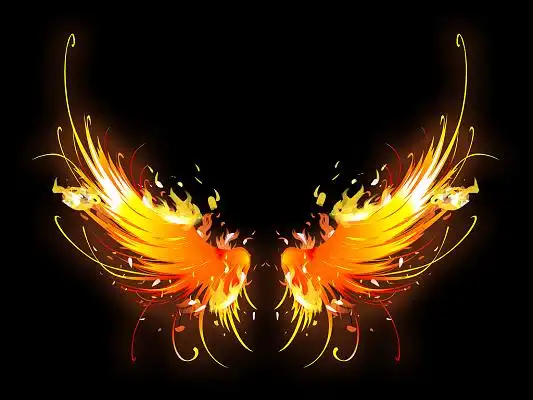 燃烧金色火焰翅膀大气凤凰翅膀羽毛png素材