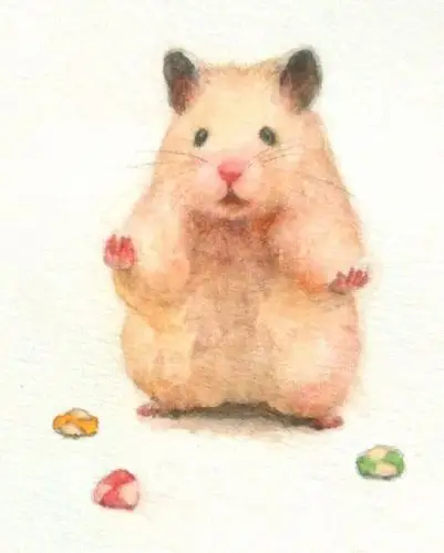 手绘小动物插画,可爱的小仓鼠日常,太萌了