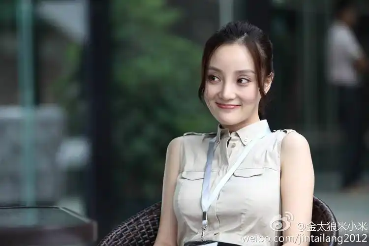 " data-lemmaid="9429094">中国华录集团有限公司 /a>出品的电视剧, a