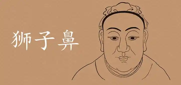 狮鼻子女人面相好不好三种有福气的鼻型详解