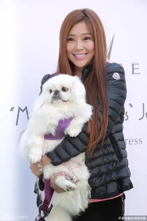 组图曾经的郭芙哪去了46岁傅明宪罕见现身