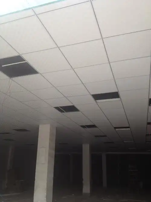 首页 装潢 吊顶 石膏板天花 >厂家直销 订购石膏板天花 精美 大方