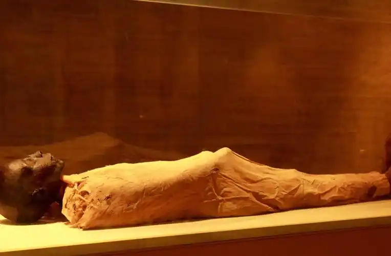 照片中是一位法老的木乃伊,木乃伊其实就是几千年前经过制作的干尸.