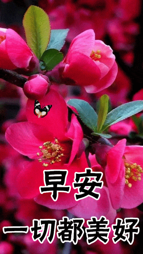 1月7日最新清晨早上好问候祝福表情图片 2021年最新早安问候祝福图片