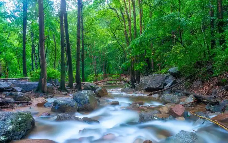 黄山景林2160x1440分辨率查看