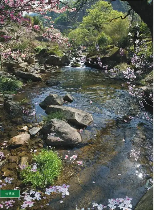 《山水情缘》今昔桃花溪-自然风光 人文历史dvd(制作202001)#我的2019