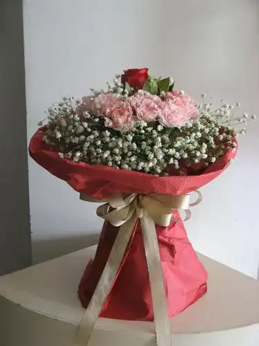 一束康乃馨花束,图片大全,高清,图库-回车桌面