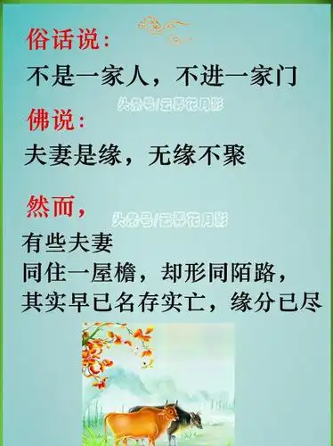 最逊情侣什么意思,最逊情侣是什么意思