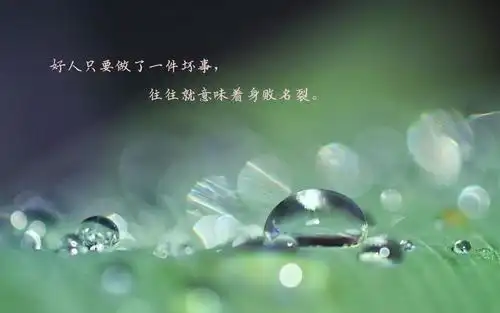 悲凉看透人心文字伤感 内容简介 看透人心的悲凉句子带字配图:人的